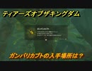 ゼルダの伝説ティアーズオブザキングダム　ガンバリカブトの入手場所は？　素材集めの場所　＃４６１　【ティアキン】