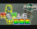 【ゼルダの伝説TOTK】待望の新要素が神すぎた…【ティアキン】#22