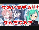 【ブルアカ】ネル先輩とアリスの仲の良さに嫌な予感がする神楽すず