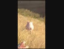 過激派ベジタリアンが最後の水を与えるファークライ5