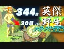 【実況】英傑 vs 野生｜ハテノ地方編 後編 【ゼルダの伝説 ブレス オブ ザ ワイルド】【Season2】