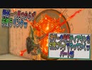 【ゼルダの伝説ティアーズオブザキングダム】神ゲーの続編ティアキンをやっていくｗ　パート05【Totk】
