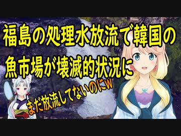 【韓国の反応】福島の処理水放流せい？韓国の魚市場で客足が遠のき漁業関係者が悲鳴を【世界の〇〇にゅーす】