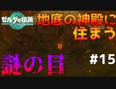 【火山】黒い瞳がこちらを見つめている……　Part 15【ゼルダの伝説ティアーズオブザキングダム】