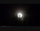 月下 in the moonlight 【フリーBGM】