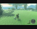 #178,ゼルダの伝説ティアーズオブザキングダム