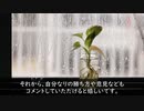 ダイナマンのFX生活～負け犬編～#18