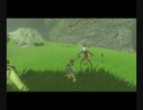 【ゼルダの伝説】マイペースに行くリンクと引きこもり#4後編【ブレスオブザワイルド】