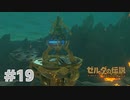 【ゼルダの伝説BotW】出遅れ男の初見BotW #19【実況プレイ】