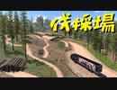 【American Truck Simulator】ペーパー歴10年が V.1.46 アプデ前にDLC「アイダホ」のビューポイント巡り（#56）【実況プレイ】
