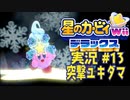【実況１３】氷の世界でユキダルマ！【星のカービィWiiデラックス】