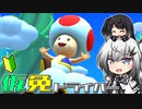 仮免ドライバーアリアルさん #65【マリオカートツアー】
