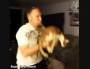 猫マシンガン