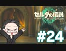 【実況プレイ】 ゼルダの伝説 ティアーズオブザキングダム part24 【いちご大福】