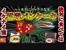 【1990年】自然観察イベントで振舞われたパンケーキ 実は中に神経毒を持つ植物が入った"猛毒パンケーキだった"【ゆっくり解説】
