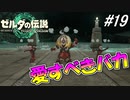 帰ってきたイーガ団の愛すべき馬鹿総長【ゼルダの伝説 ティアーズ オブ キングダム】実況プレイ part19