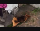 ぶらり散歩　#126　2023/6/1