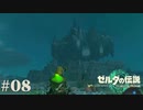 【ゼルダの伝説 Tears of the Kingdom】きれいな二度見【実況】#08