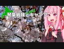 琴葉姉妹と北海道キャンプ#1 -シーズン初めいくよ！「古山貯水池自然公園オートキャンプ場」-