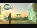 なんでいつもこうなの……？【ゼルダの伝説 ティアーズ オブ ザ キングダム / ゲーム実況】part5の前編