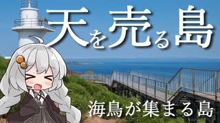 天売島 ～海鳥の楽園～