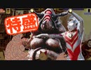 【MUGEN大祭】特盛りシングルトーナメント　Part206-A