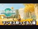 【ゼルダの伝説】時の神殿を無視してブラつきまくる英傑  #2 【ティアーズ オブ ザ キングダム】