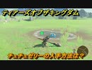 ゼルダの伝説ティアーズオブザキングダム　チュチュゼリーの入手方法は？　素材集めの場所　＃４８２　【ティアキン】