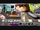 第350位：【3日目⑤ final】東日本一周終了！新幹線乗って帰る【JR東日本パスで行く、じり貧東日本一周旅行】