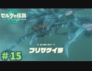 寒さの元凶現る！　「ゼルダの伝説～ティアーズ・オブ・ザ・キングダム」　＃15