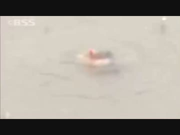 ホモと見る溺れるモグラ