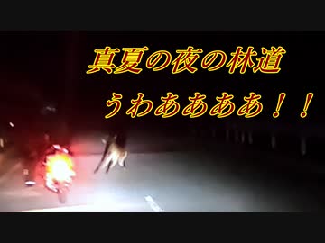 「日帰り580km限界ゆるふわツーリング」ハンターカブ3台で日帰りツーリングしてきた！（CT125・CT110）