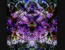 幻影