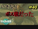 いきなりボスだった【TEARS OF THE KINGDOM】＃40