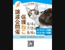 保護ねこの家譲渡会 in 天王寺