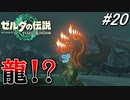 何だこのドラゴン⁉【ゼルダの伝説 ティアーズ オブ キングダム】実況プレイ part20