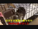【勇者トロ】また家に警〇きたんだが。2023年5月28日