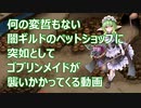 【千年戦争アイギス】闇ギルドのペットショップにゴブリンの魔の手が【第51回ガバ1】
