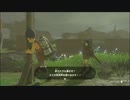 【ゼルダの伝説 ティアーズ オブ ザ キングダム】再びハイラルを救うまで【実況】 part12