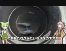 白ブチサファイアなのだ！