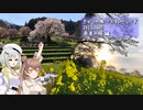 きせつの旅 さぶすぴーしーず 2023. April 奈良の桜 編