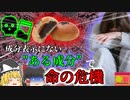 【2011年】ダイエット女子の悲劇 原因不明の恐ろしい全身症状 彼女は何に対してアレルギーを起こしていた？ 成分表示にない"ある食品"【ゆっくり解説】