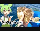 色々釣るのだ【カヤック・SUPフィッシング】