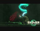 【ゼルダの伝説TEARS OF THE KINGDOM】サクサク楽しむ実況プレイpart24