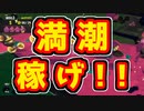 新ステは満潮で稼げ！！すじこジャンクションの立ち回り【サーモンラン】