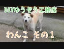 わんこ その１。ハスキーと柴のミックス犬です。