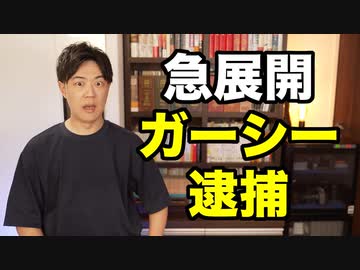ガーシー氏、一生帰国しないはずが一転帰国からの逮捕