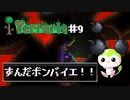 だれかモチベを上げてほしいのだ！【弓使いのずんだテラリア9】