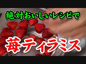 苺の値段が一番安い今にオススメ！【苺ティラミス】（嫌がる娘に無理やり弁当を持たせてみた息子編）