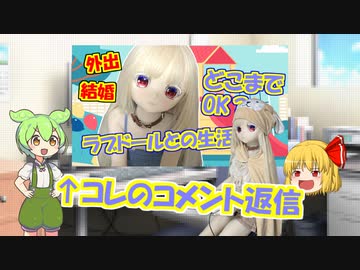 【ラブドールと学ぶ】外出？結婚？ラブドール・キャラクターとの生活から考える「多様性」の、コメント返信【ゆっくり解説・ゆっくり茶番劇】